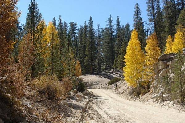Foto de terreno habitacional en sierra juarez , ojos negros, ensenada, baja california, 0 foto 03 Foto de terreno habitacional en venta en sierra juarez , ojos negros, ensenada, baja california, 0 No. 03