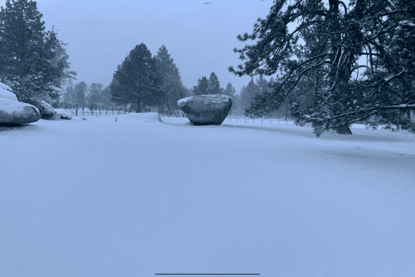 Foto de terreno habitacional en sierra juarez , ojos negros, ensenada, baja california, 0 foto 04 Foto de terreno habitacional en venta en sierra juarez , ojos negros, ensenada, baja california, 0 No. 04