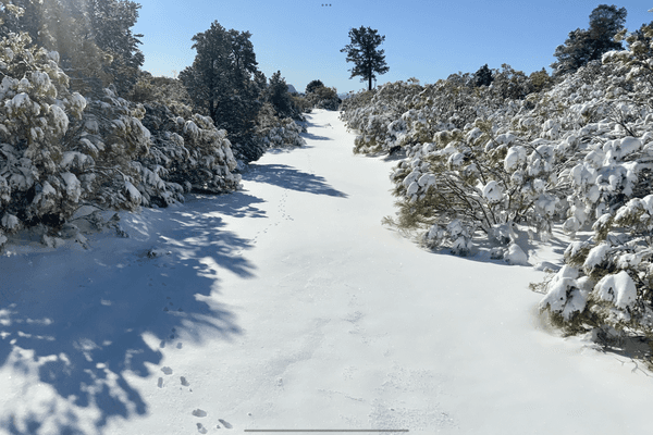 Foto de terreno habitacional en sierra juarez , ojos negros, ensenada, baja california, 0 foto 05 Foto de terreno habitacional en venta en sierra juarez , ojos negros, ensenada, baja california, 0 No. 05