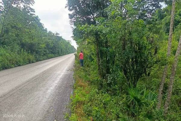 Foto de terreno habitacional en sin calle , tulum centro, tulum, quintana roo, 0 foto 02 Foto de terreno habitacional en venta en sin calle , tulum centro, tulum, quintana roo, 0 No. 02
