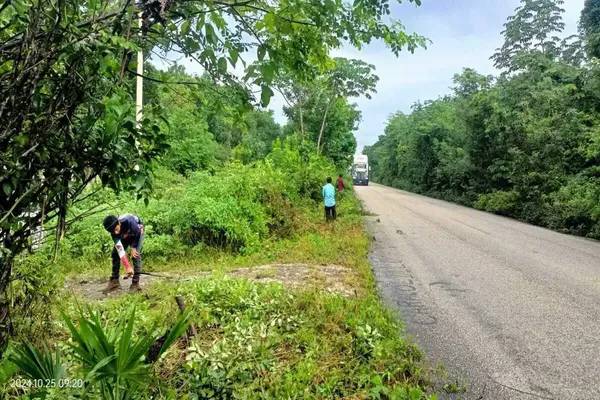 Foto de terreno habitacional en sin calle , tulum centro, tulum, quintana roo, 0 foto 03 Foto de terreno habitacional en venta en sin calle , tulum centro, tulum, quintana roo, 0 No. 03