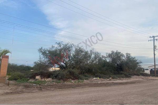 Foto de terreno habitacional en sin nombre 8, el centenario, la paz, baja california sur, 0 foto 02 Foto de terreno habitacional en renta en sin nombre 8, el centenario, la paz, baja california sur, 0 No. 02
