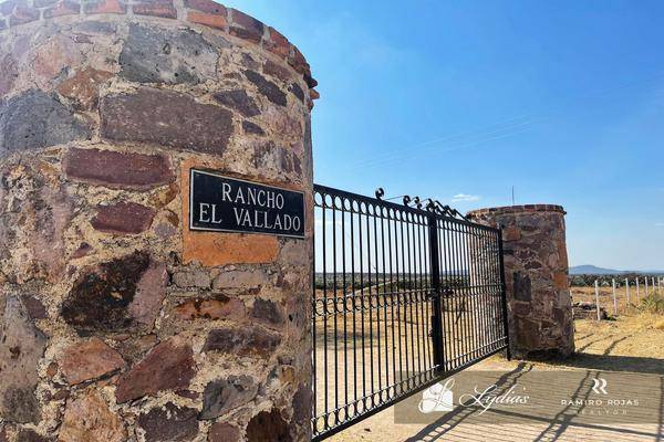 Foto de rancho en sin nombre , union de san antonio centro, unión de san antonio, jalisco, 24748571 foto 02 Foto de rancho en venta en sin nombre , union de san antonio centro, unión de san antonio, jalisco, 24748571 No. 02