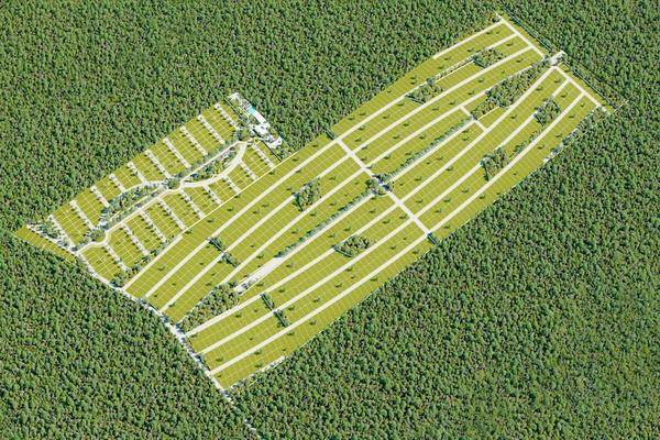 Foto de terreno habitacional en sisal , sisal, hunucmá, yucatán, 0 foto 02 Foto de terreno habitacional en venta en sisal , sisal, hunucmá, yucatán, 0 No. 02