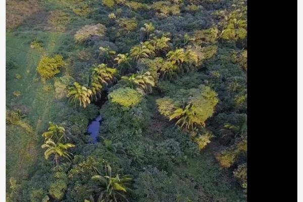 Foto de rancho en sn , el zacatal, jamapa, veracruz de ignacio de la llave, 23271527 foto 04 Foto de rancho en venta en sn , el zacatal, jamapa, veracruz de ignacio de la llave, 23271527 No. 04
