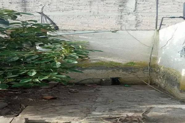 Foto de terreno habitacional en s/n , san miguel xico, valle de chalco solidaridad, méxico, 0 foto 05 Foto de terreno habitacional en venta en s/n , san miguel xico, valle de chalco solidaridad, méxico, 0 No. 05