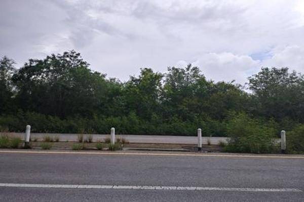 Foto de terreno habitacional en sobre carretera federal merida cancun , tixkokob, tixkokob, yucatán, 30515956 foto 02 Foto de terreno habitacional en venta en sobre carretera federal merida cancun , tixkokob, tixkokob, yucatán, 30515956 No. 02