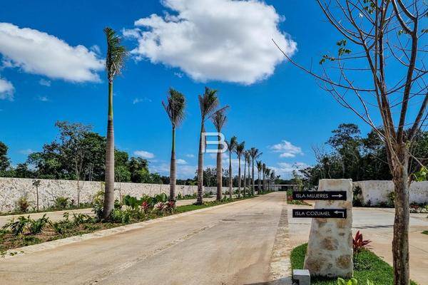 Foto de terreno habitacional en , supermanzana 312, benito juárez, quintana roo, 30522353 foto 04 Foto de terreno habitacional en venta en , supermanzana 312, benito juárez, quintana roo, 30522353 No. 04