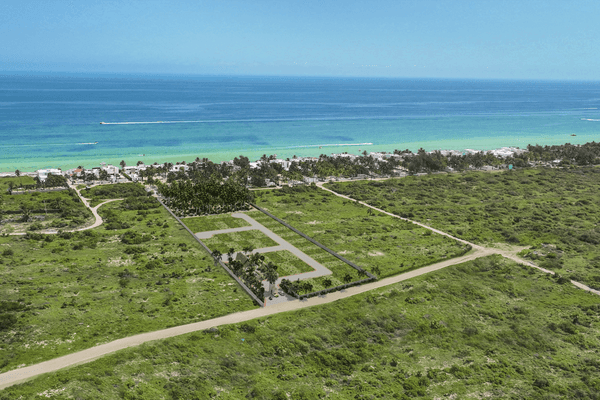 Foto de terreno habitacional en supermanzana tablaje , chicxulub, chicxulub pueblo, yucatán, 0 foto 01 Foto de terreno habitacional en venta en supermanzana tablaje , chicxulub, chicxulub pueblo, yucatán, 0 No. 01