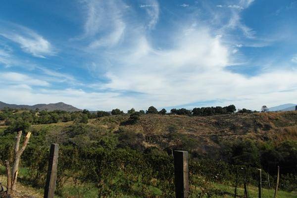 Foto de rancho en tahuejo, taretan, michoacán 0, uruapan progreso, uruapan, michoacán de ocampo, 0 foto 01 Foto de rancho en venta en tahuejo, taretan, michoacán 0, uruapan progreso, uruapan, michoacán de ocampo, 0 No. 01