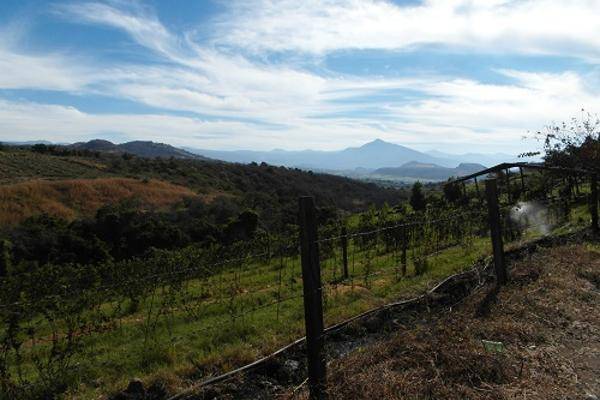 Foto de rancho en tahuejo, taretan, michoacán 0, uruapan progreso, uruapan, michoacán de ocampo, 3081210 foto 04 Foto de rancho en venta en tahuejo, taretan, michoacán 0, uruapan progreso, uruapan, michoacán de ocampo, 3081210 No. 04