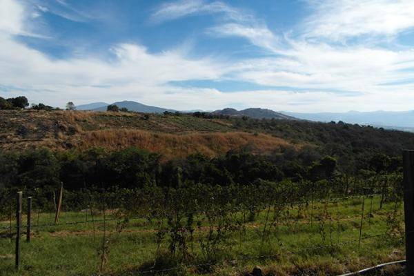 Foto de rancho en tahuejo, taretan, michoacán 0, uruapan progreso, uruapan, michoacán de ocampo, 0 foto 05 Foto de rancho en venta en tahuejo, taretan, michoacán 0, uruapan progreso, uruapan, michoacán de ocampo, 0 No. 05