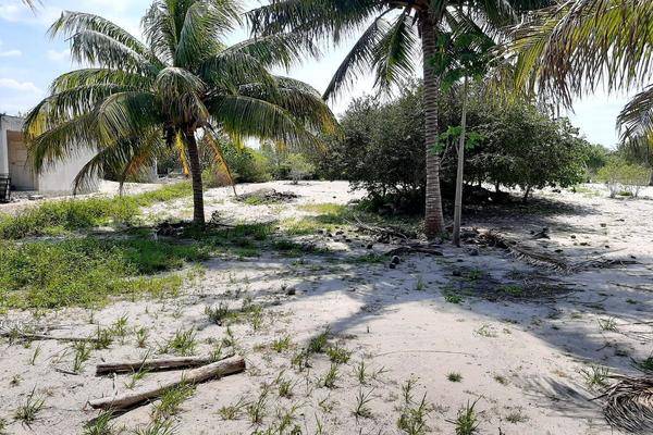 Foto de terreno habitacional en , telchac puerto, telchac puerto, yucatán, 26742746 foto 02 Foto de terreno habitacional en venta en , telchac puerto, telchac puerto, yucatán, 26742746 No. 02
