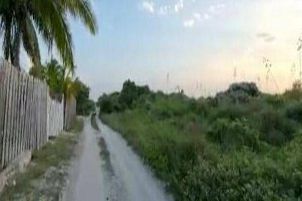 Foto de terreno habitacional en , telchac puerto, telchac puerto, yucatán, 27053063 foto 01 Foto de terreno habitacional en venta en , telchac puerto, telchac puerto, yucatán, 27053063 No. 01