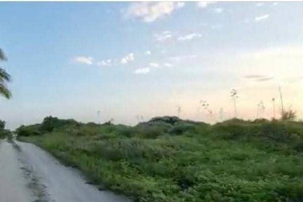 Foto de terreno habitacional en , telchac puerto, telchac puerto, yucatán, 27053063 foto 02 Foto de terreno habitacional en venta en , telchac puerto, telchac puerto, yucatán, 27053063 No. 02