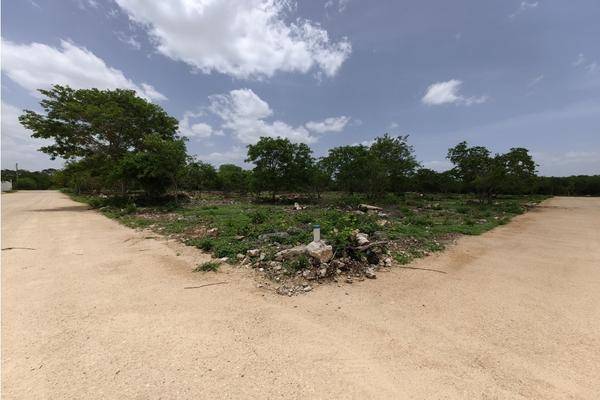 Foto de terreno habitacional en , temozon norte, mérida, yucatán, 0 foto 04 Foto de terreno habitacional en venta en , temozon norte, mérida, yucatán, 0 No. 04