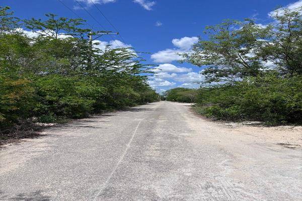 Foto de terreno habitacional en . , temozon norte, mérida, yucatán, 31067499 foto 06 Foto de terreno habitacional en venta en . , temozon norte, mérida, yucatán, 31067499 No. 06