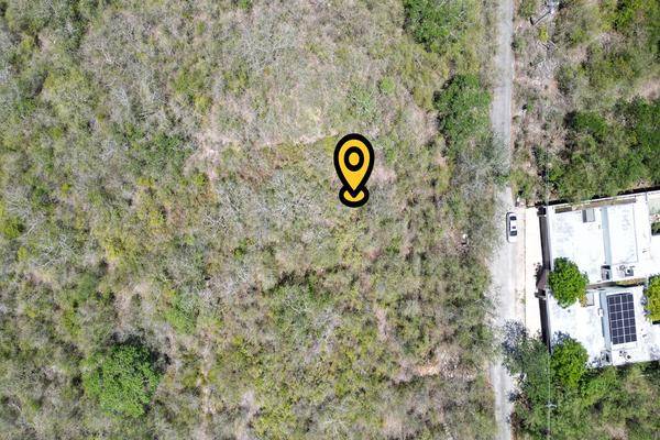 Foto de terreno habitacional en temozon norte , temozon norte, mérida, yucatán, 0 foto 04 Foto de terreno habitacional en venta en temozon norte , temozon norte, mérida, yucatán, 0 No. 04