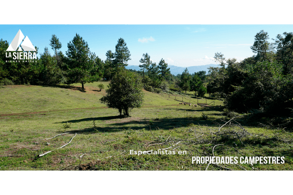 Foto de terreno habitacional en , teopancingo, huauchinango, puebla, 28086477 foto 04 Foto de terreno habitacional en venta en , teopancingo, huauchinango, puebla, 28086477 No. 04