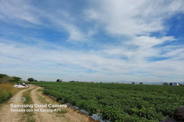 Foto de terreno habitacional en terraceria isla del bosque , palmito del verde , palmito del verde, escuinapa, sinaloa, 23950302 foto 03 Foto de terreno habitacional en venta en terraceria isla del bosque , palmito del verde , palmito del verde, escuinapa, sinaloa, 23950302 No. 03