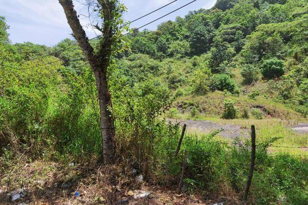 Foto de terreno habitacional en terreno en venta en coacoatzintla veracruz con ban , coacoatzintla, coacoatzintla, veracruz de ignacio de la llave, 18686758 foto 05 Foto de terreno habitacional en venta en terreno en venta en coacoatzintla veracruz con ban , coacoatzintla, coacoatzintla, veracruz de ignacio de la llave, 18686758 No. 05