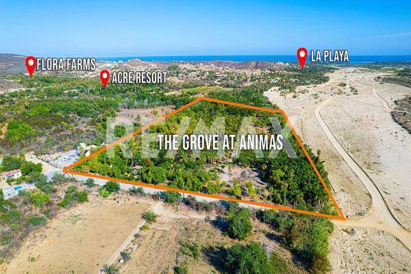 Foto de terreno comercial en the crown jewe at las animas , animas bajas, los cabos, baja california sur, 25269127 foto 01 Foto de terreno comercial en venta en the crown jewe at las animas , animas bajas, los cabos, baja california sur, 25269127 No. 01