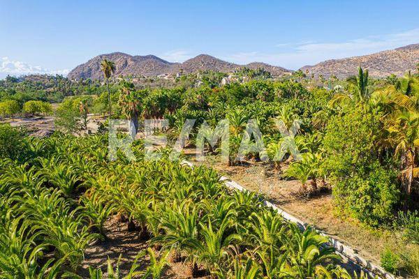 Foto de terreno comercial en the crown jewe at las animas , animas bajas, los cabos, baja california sur, 25269127 foto 02 Foto de terreno comercial en venta en the crown jewe at las animas , animas bajas, los cabos, baja california sur, 25269127 No. 02