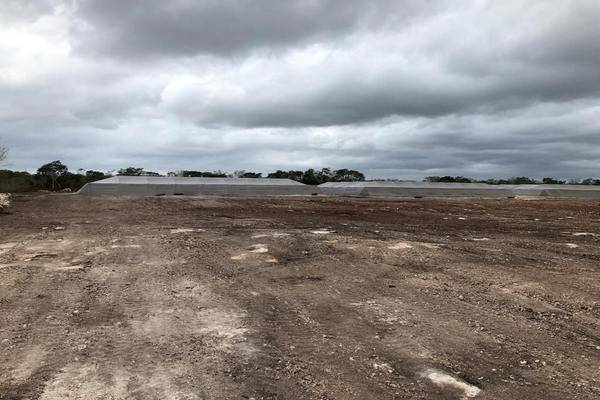 Foto de terreno habitacional en , tixpehual, tixpéhual, yucatán, 28970098 foto 01 Foto de terreno habitacional en venta en , tixpehual, tixpéhual, yucatán, 28970098 No. 01