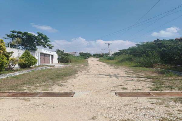 Foto de terreno habitacional en torino , berriozabal centro, berriozábal, chiapas, 30516486 foto 03 Foto de terreno habitacional en venta en torino , berriozabal centro, berriozábal, chiapas, 30516486 No. 03