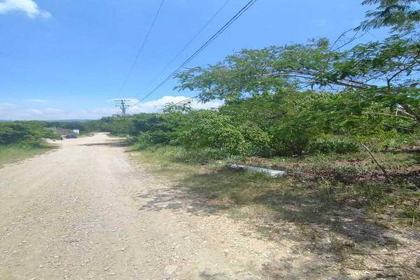 Foto de terreno habitacional en torino , berriozabal centro, berriozábal, chiapas, 30516486 foto 04 Foto de terreno habitacional en venta en torino , berriozabal centro, berriozábal, chiapas, 30516486 No. 04