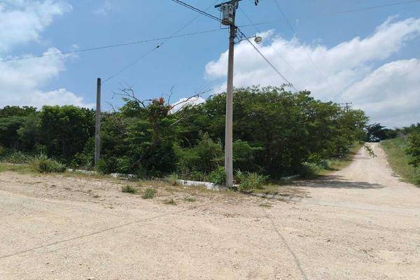 Foto de terreno habitacional en torino , berriozabal centro, berriozábal, chiapas, 30516486 foto 05 Foto de terreno habitacional en venta en torino , berriozabal centro, berriozábal, chiapas, 30516486 No. 05