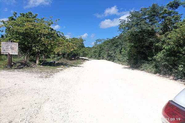 Foto de terreno habitacional en tres reyes , cancún (internacional de cancún), benito juárez, quintana roo, 23113628 foto 02 Foto de terreno habitacional en venta en tres reyes , cancún (internacional de cancún), benito juárez, quintana roo, 23113628 No. 02