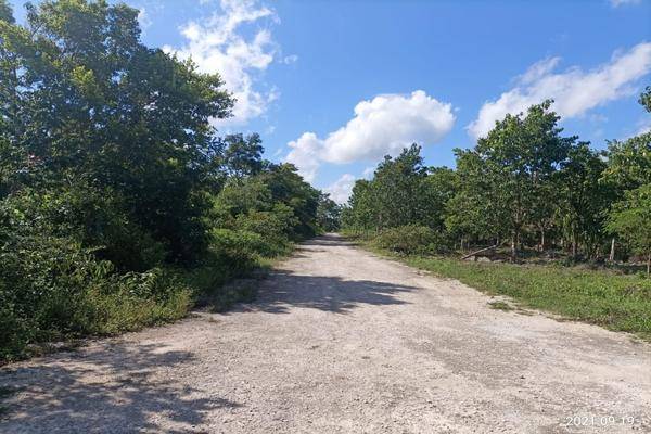 Foto de terreno habitacional en tres reyes , cancún (internacional de cancún), benito juárez, quintana roo, 23113628 foto 03 Foto de terreno habitacional en venta en tres reyes , cancún (internacional de cancún), benito juárez, quintana roo, 23113628 No. 03
