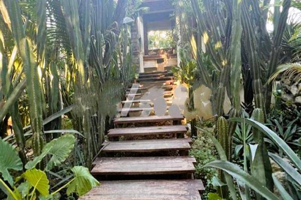 Foto de terreno habitacional en , tulum centro, tulum, quintana roo, 30969673 foto 01 Foto de terreno habitacional en venta en , tulum centro, tulum, quintana roo, 30969673 No. 01