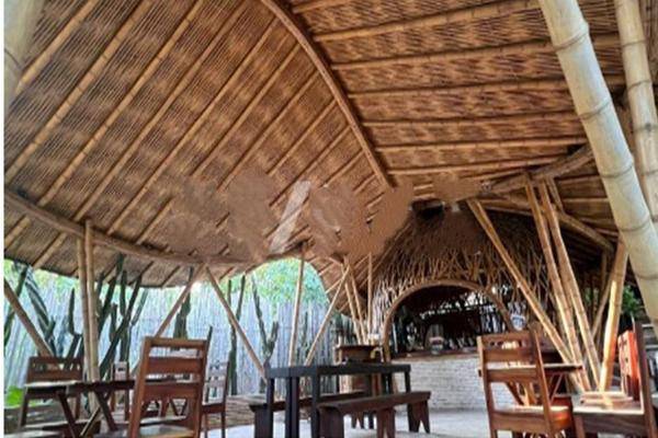 Foto de terreno habitacional en , tulum centro, tulum, quintana roo, 30969673 foto 02 Foto de terreno habitacional en venta en , tulum centro, tulum, quintana roo, 30969673 No. 02