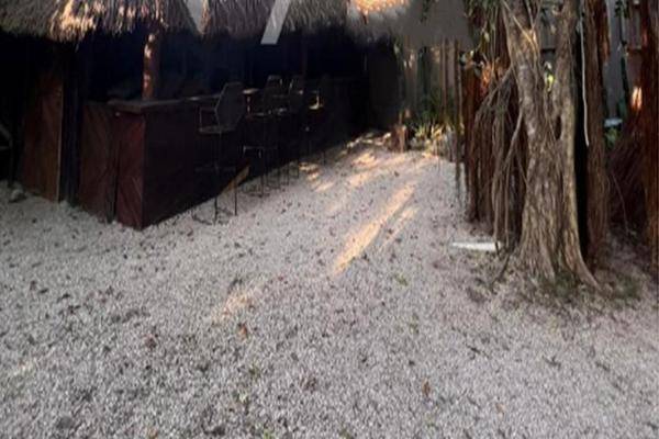 Foto de terreno habitacional en , tulum centro, tulum, quintana roo, 30969673 foto 03 Foto de terreno habitacional en venta en , tulum centro, tulum, quintana roo, 30969673 No. 03