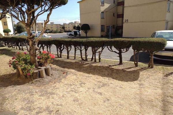 Foto de departamento en u. h. mayorazgo edificio 10, mayorazgo, metepec, méxico, 0 foto 03 Foto de departamento en renta en u. h. mayorazgo edificio 10, mayorazgo, metepec, méxico, 0 No. 03