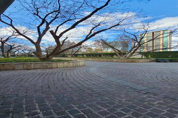 Foto de departamento en , valle del campestre, san pedro garza garcía, nuevo león, 27726898 foto 05 Foto de departamento en renta en , valle del campestre, san pedro garza garcía, nuevo león, 27726898 No. 05