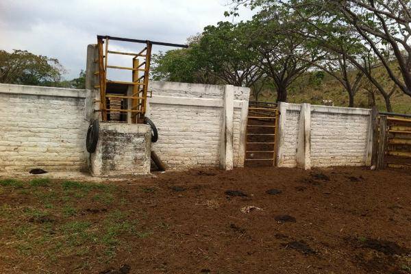 Foto de rancho en , villa purificacion, villa purificación, jalisco, 6265172 foto 04 Foto de rancho en venta en , villa purificacion, villa purificación, jalisco, 6265172 No. 04