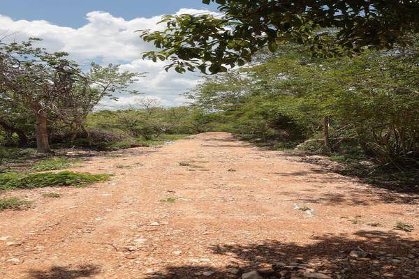 Foto de terreno habitacional en , yalcoba, valladolid, yucatán, 30332440 foto 02 Foto de terreno habitacional en venta en , yalcoba, valladolid, yucatán, 30332440 No. 02