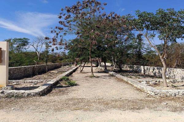 Foto de terreno habitacional en , yaxche de peón, ucú, yucatán, 0 foto 03 Foto de terreno habitacional en venta en , yaxche de peón, ucú, yucatán, 0 No. 03