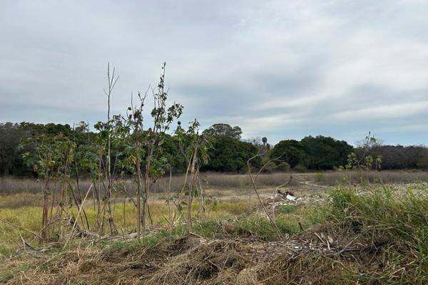 Foto de terreno habitacional en zaragoza , chapala centro, chapala, jalisco, 0 foto 01 Foto de terreno habitacional en venta en zaragoza , chapala centro, chapala, jalisco, 0 No. 01