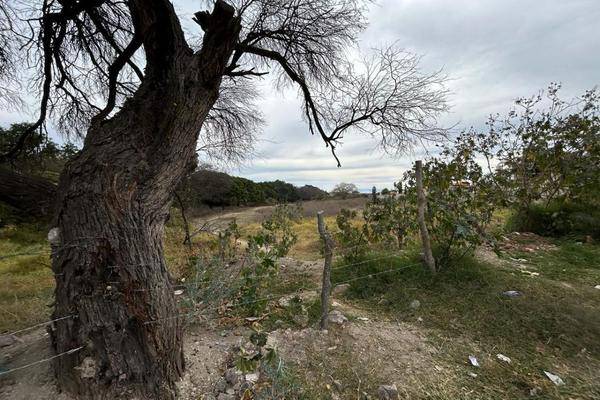 Foto de terreno habitacional en zaragoza , chapala centro, chapala, jalisco, 0 foto 03 Foto de terreno habitacional en venta en zaragoza , chapala centro, chapala, jalisco, 0 No. 03