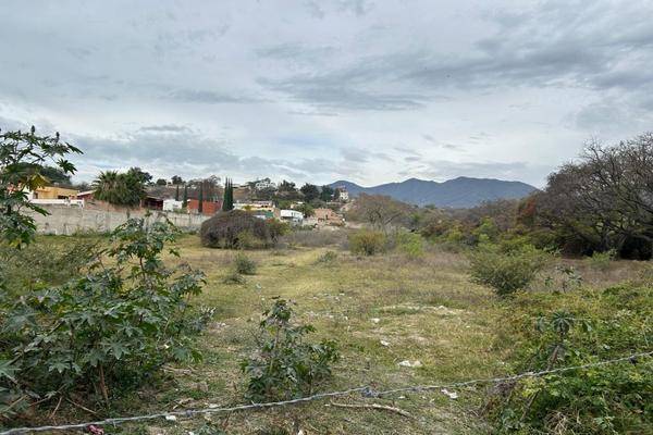 Foto de terreno habitacional en zaragoza , chapala centro, chapala, jalisco, 0 foto 05 Foto de terreno habitacional en venta en zaragoza , chapala centro, chapala, jalisco, 0 No. 05