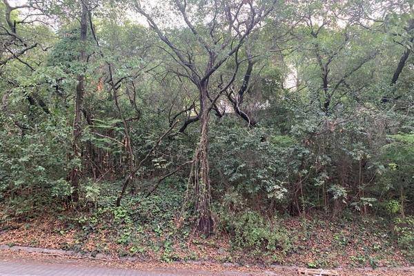 Foto de terreno habitacional en , zona valle san ángel, san pedro garza garcía, nuevo león, 30015142 foto 04 Foto de terreno habitacional en venta en , zona valle san ángel, san pedro garza garcía, nuevo león, 30015142 No. 04