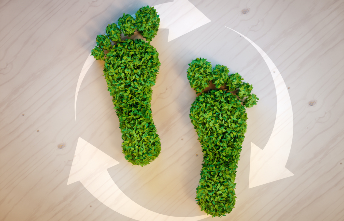 reducir la huella ecológica