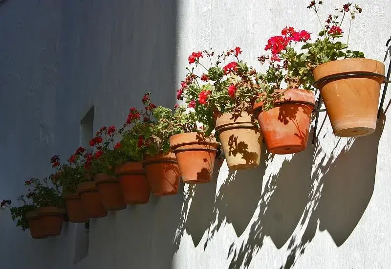 Tips para hacer más ecológico tu hogar