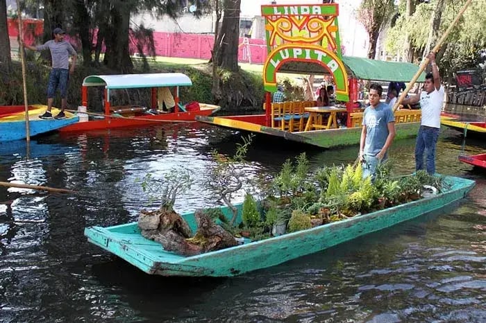 Agricultura en el DF