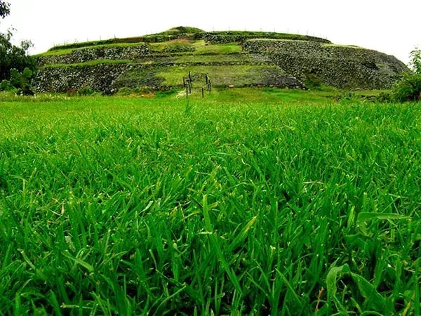 Cuicuilco2