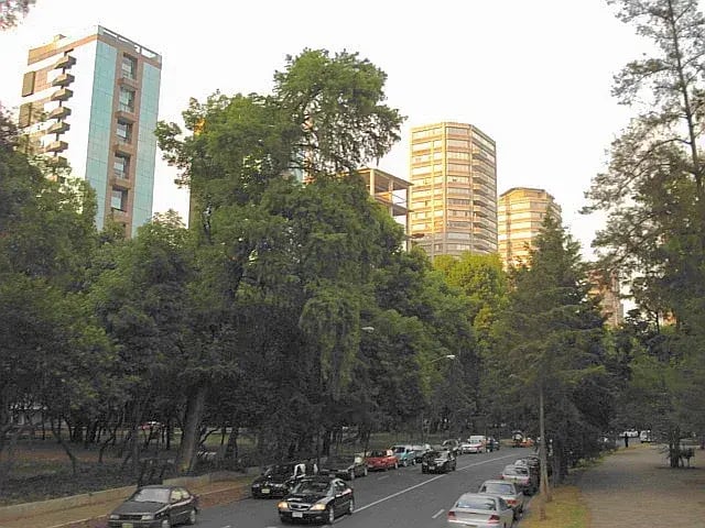 las ciudades más caras para rentar en México